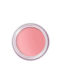 bobbi brown pot rouge mate - varios tonos - petal pink pastel blue pink