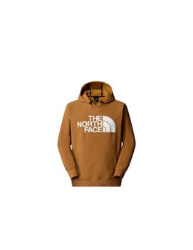 Sudadera The north Face M Tekno Logo Utility Marrón Hombre