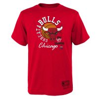 camiseta chicago bulls 91champions - mitchell and ness junior