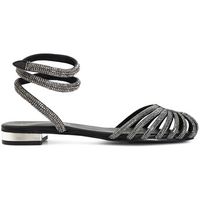 cafe noir bailarinas c1xb1009 para mujer