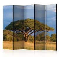 biombo - african acacia tree hwange national park zimbabwe ii room dividers