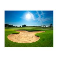 papel pintado 3d - campo de golf 200x154 cm