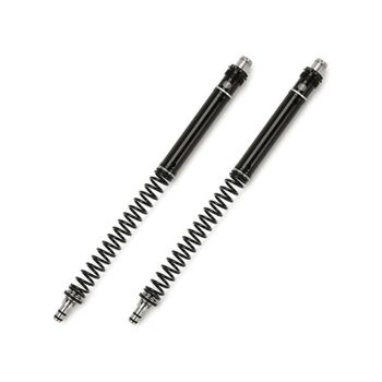 Kit de mejora de horquilla Triumph Legend 900 Matris FSE