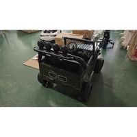 aiyaplay coche electrico infantil toyota fj 24v para ninos con mando a distancia motor 200w bateria de litio biplaza para 3-8 anos