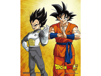 Póster 3D - Sherwood Dragon Ball Goku & Vegeta, Enmarcado, Licencia oficial