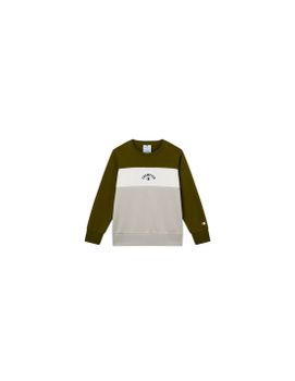 Sudadera Champion Icons Plus Niño Verde