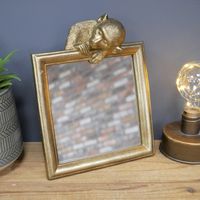 monkey mirror