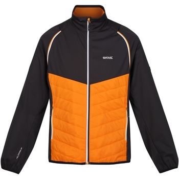 Regatta Cazadora Steren Hybrid para hombre