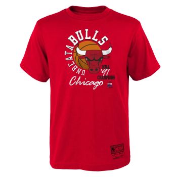 Camiseta Chicago Bulls 