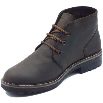 IgI&CO Botines 2124311 Nabuk Ingr. para hombre