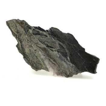 Pirita Y Pirita Mineralizada Anfibolita De Brévenne, Saint Laurent-de-chamousset, Rhône, Francia Rare Mineral Of Collection | 1355.1 Cts - Certificado