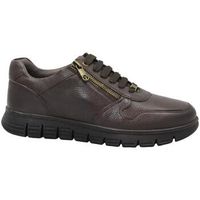 valleverde zapatos hombre val-i26-36886-ma para hombre
