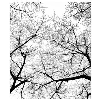 Legendarte - Cuadro Lienzo, Impresión Digital - El Cielo En Invierno - Decoración Pared Cm. 60x75