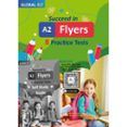 succeed flyers 2025 edition ó sse