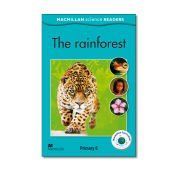 msr 6 the rainforest