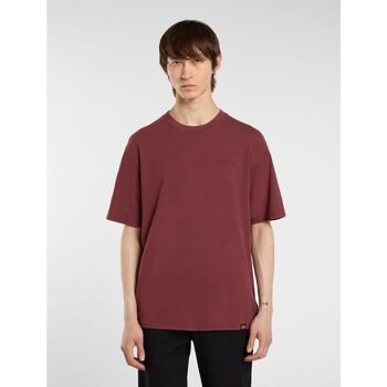 Dickies Tops y Camisetas PLENTYWOOD TEE - DK0A866BL161-ANDORRA para hombre