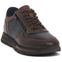zen zapatillas de senderismo dakar caffe para hombre