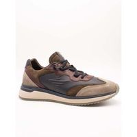 cetti zapatillas c-1429 para hombre