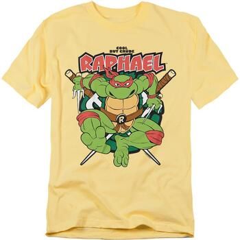 Tmnt Camiseta Cool But Crude para mujer