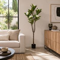 arbol frangipani en polietileno blanco 80x80x150 cm