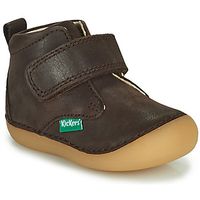 kickers botines sabio para nino