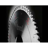 cuchilla alternante con dientes agudos para paneles revestidos freud - o160 2216 al20 z48 ba 38 - f03fs07411 -lu3a 0001