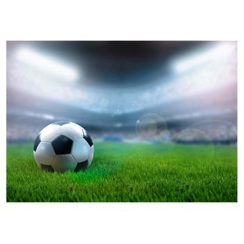 Papel Pintado 3d - Copa Mundial (300x210 Cm)