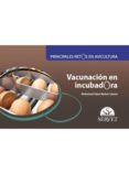 principales retos en avicultura vacunacion en incubadora