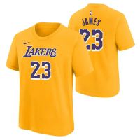 camiseta lebron james los angeles lakers - nn nike icon edition junior