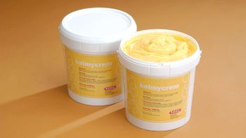 Crema Pastelera (6 Kg)