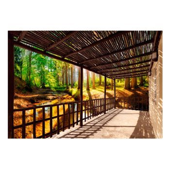 Papel Pintado 3d - Getting Back To Nature (150x105 Cm)