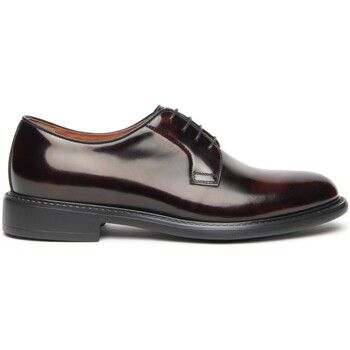 NeroGiardini Zapatos Bajos Cordovan Eva Bibione 12 para hombre