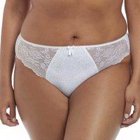morgan brief