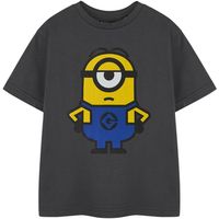 minions camiseta ns9171 para nino
