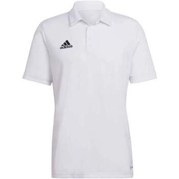 adidas Polo HC5067 para hombre