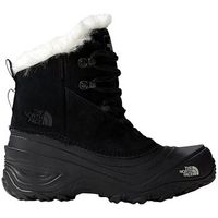 the north face descansos youth shellista v lace para mujer