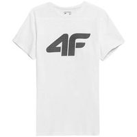 4f camiseta 4faw23ttshm087710s para hombre