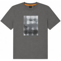 boss camiseta brokenice graphic t-shirt grey para hombre