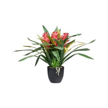 Planta Artificial En Maceta Para Interior Decoración De Plástico Con Maceta Negra Guzmania Atilla