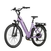 eu direct ttgo c5 bicicleta electrica 48v 135ah 250w motor 25kmh velocidad maxima llantas de 275 pulgadas 110km aut
