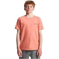 quiksilver camiseta eqbzt04964-mkt0 para nino