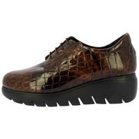 doctor cutillas zapatos mujer zapato blucher - piel charol para mujer