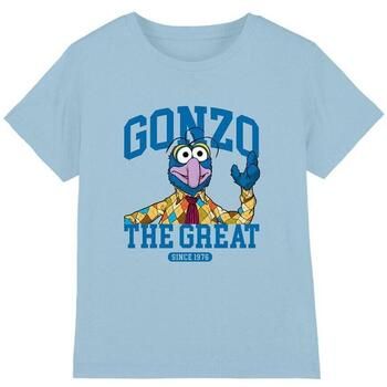 The Muppets Tops y Camisetas The Great para niño
