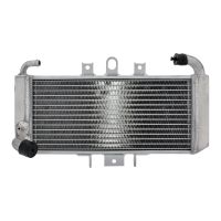 refrigerador motor yamaha fzs 600 fazer agua