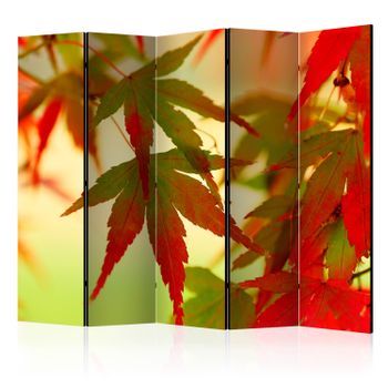Biombo - Colourful Leaves Ii (225x172 Cm)