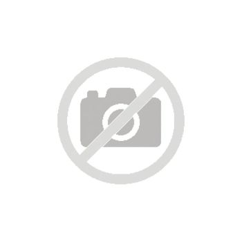 Cartucho de Tinta Epson 250 Claria Photo HD Negro 5,3 ml Pack Individual
