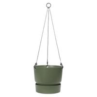 greenville hanging basket 24cm