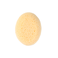 esponja hidrofila
