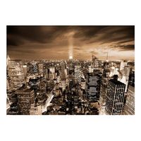 papel pintado 3d - nueva york noche 300x210 cm