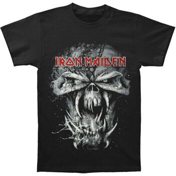 Iron Maiden Camiseta manga larga Final Frontier Eddie Vintage para hombre